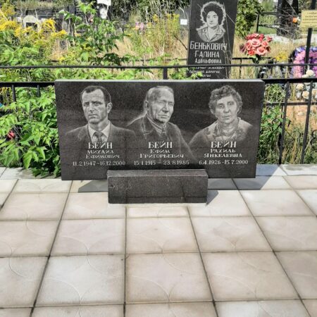 Бейн Михаил Ефимович Бейн Ефим Григорьевич Бейн Рахиль Янкелевна