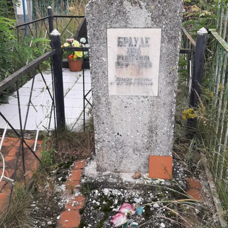 Брауде Анна Борисовна