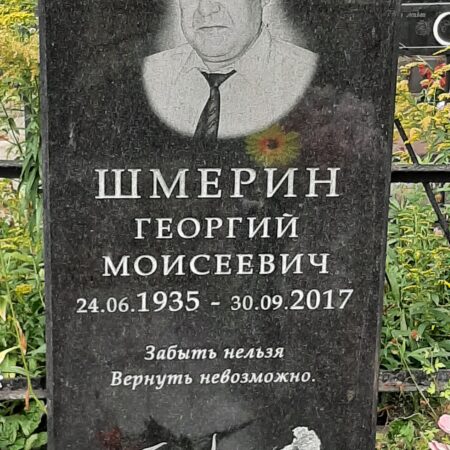 Шмерин Георгий Моисеевич