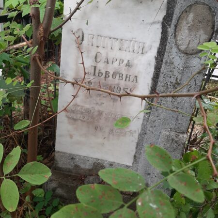 Эпштейн Сарра Львовна